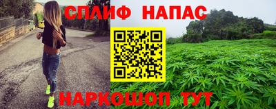 гидропоника Краснознаменск