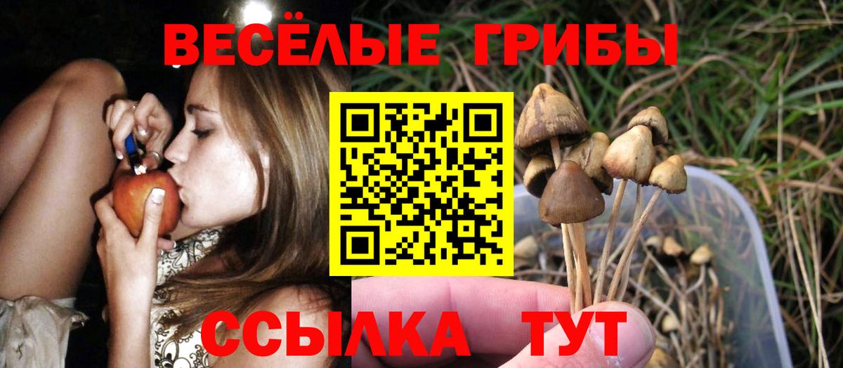 Псилоцибиновые грибы Еманжелинск